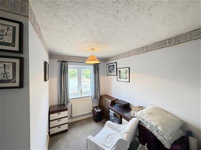 Picture 20